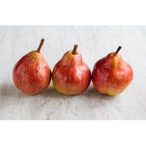 Hruška obyčajná (Pyrus communis) ´DICOLOR´ zimná 150-160 cm - voľnokorenná